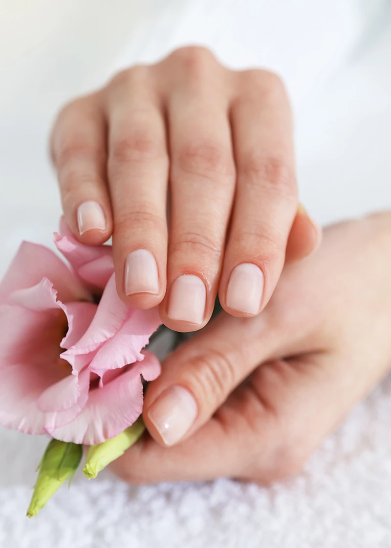Nails Pro And Spa